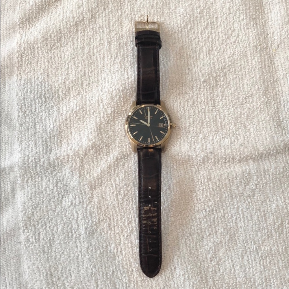 Citizen Ecodrive leather watch